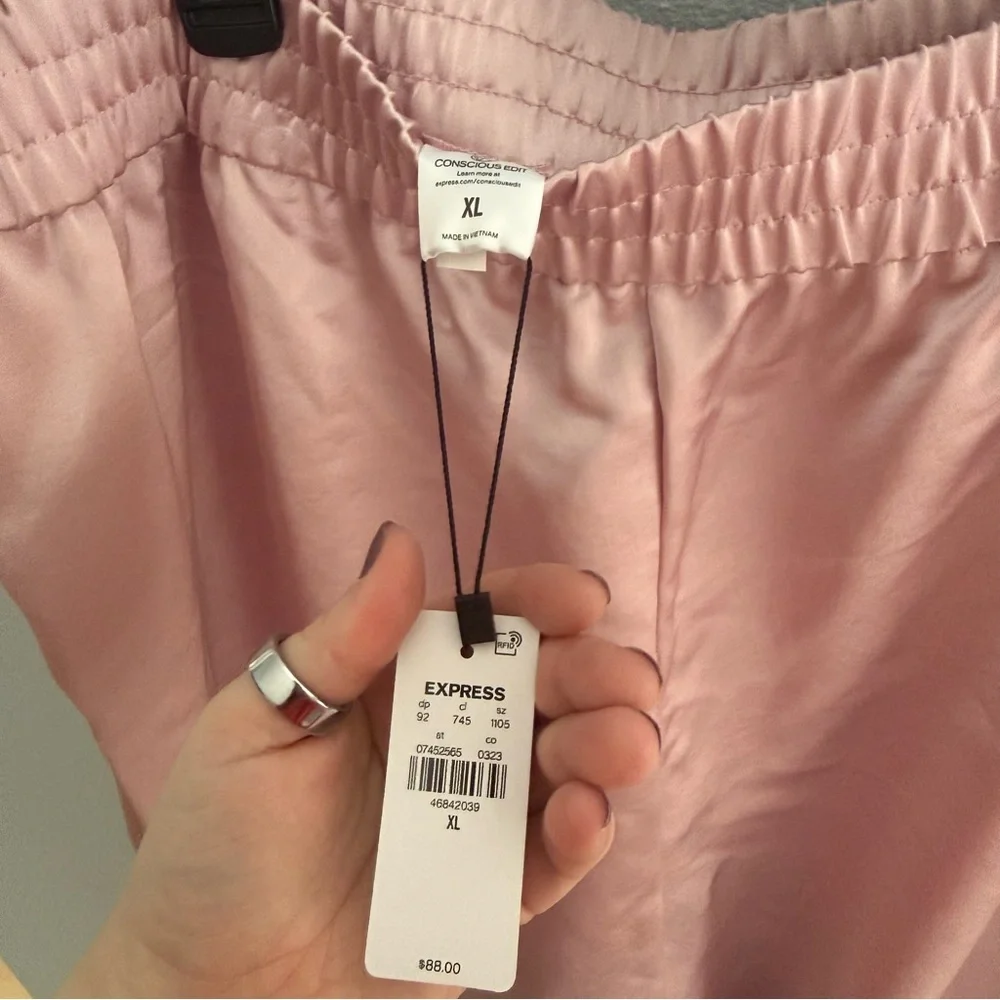 Express Cargo Style Pant - Picture 5 of 7